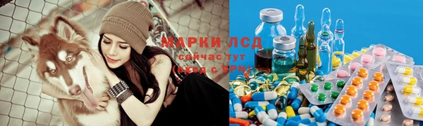 гидропоника Надым