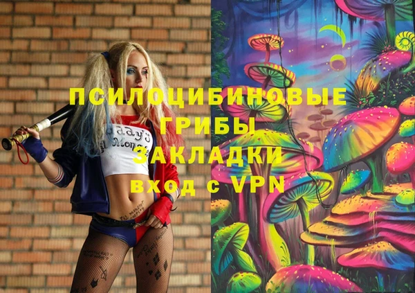 гидропоника Надым