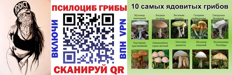 Галлюциногенные грибы прущие грибы  Фатеж 